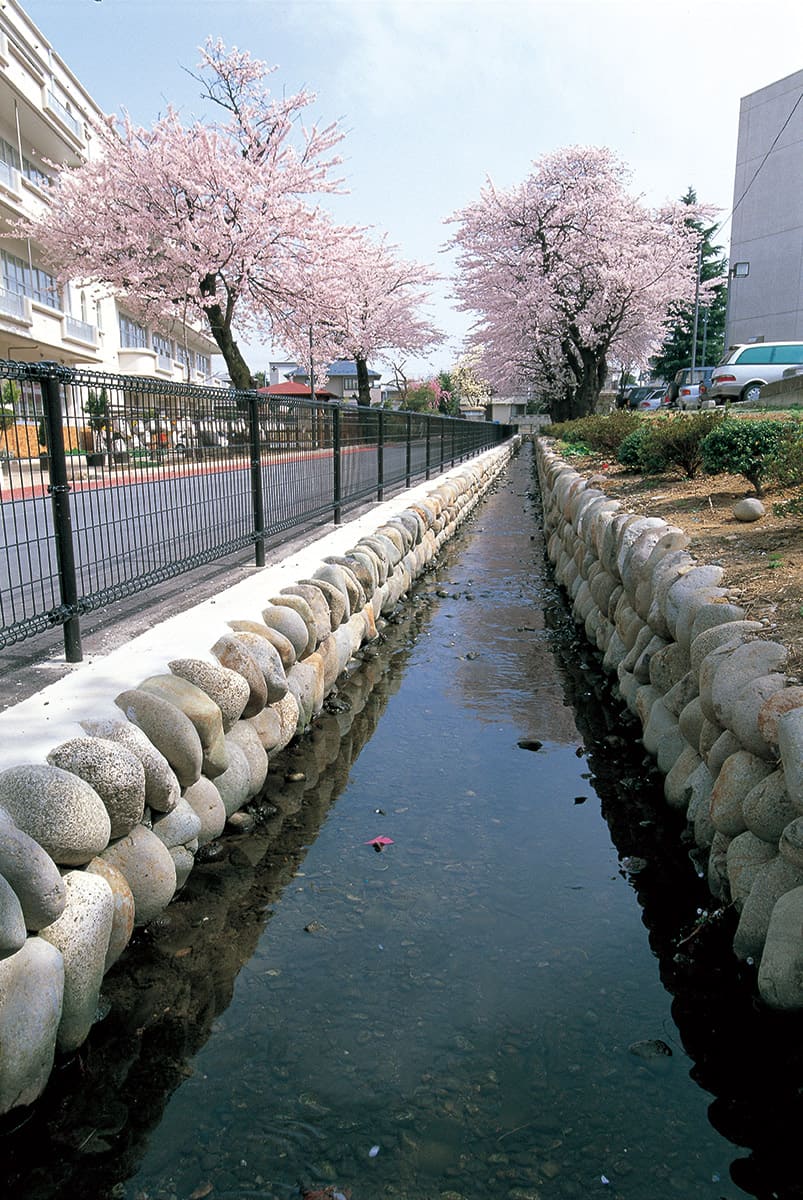 笹堰（六小東通りせせらぎ水路）