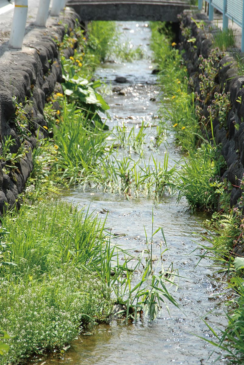八ケ郷堰（緑町）